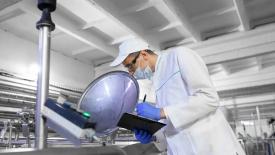 Производство товарного молока в России в 2025 году выросло на 2,5% 